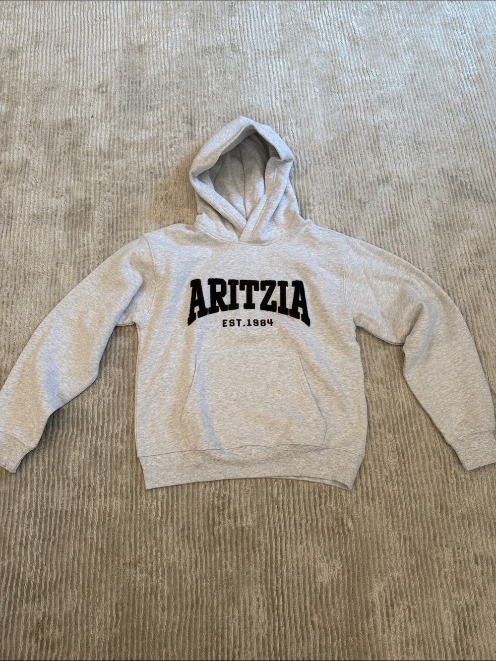 Woman Hoodie - ARITZIA